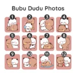 bubu dudu hardcover